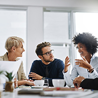 Maestría en Competencias Profesionales de Proyectos